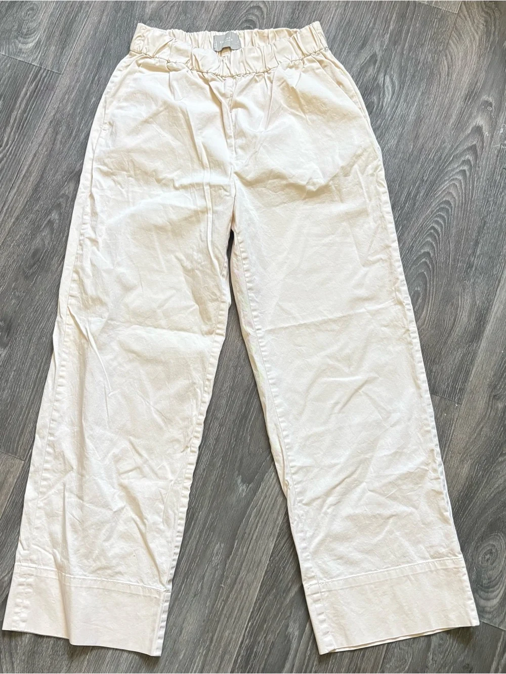 Everlane Easy Pants sz 6 canvas